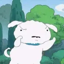 member face