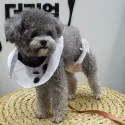 member face
