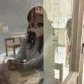member face