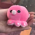 member face