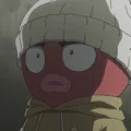 member face