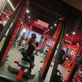 member face
