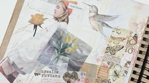 정모 대표 이미지