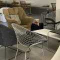 member face
