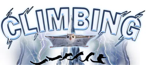 모임 대표 이미지