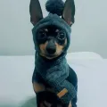 member face