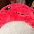 member face