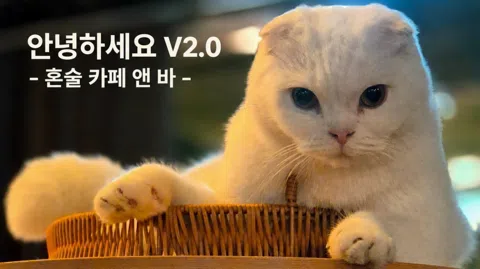 정모 대표 이미지