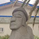 member face