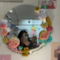 member face