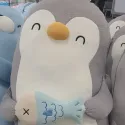 member face