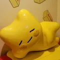 member face