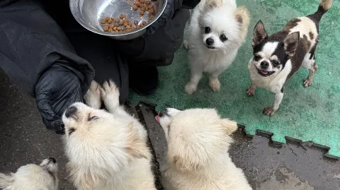 정모 대표 이미지