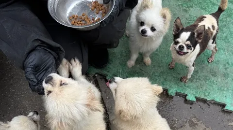 정모 대표 이미지
