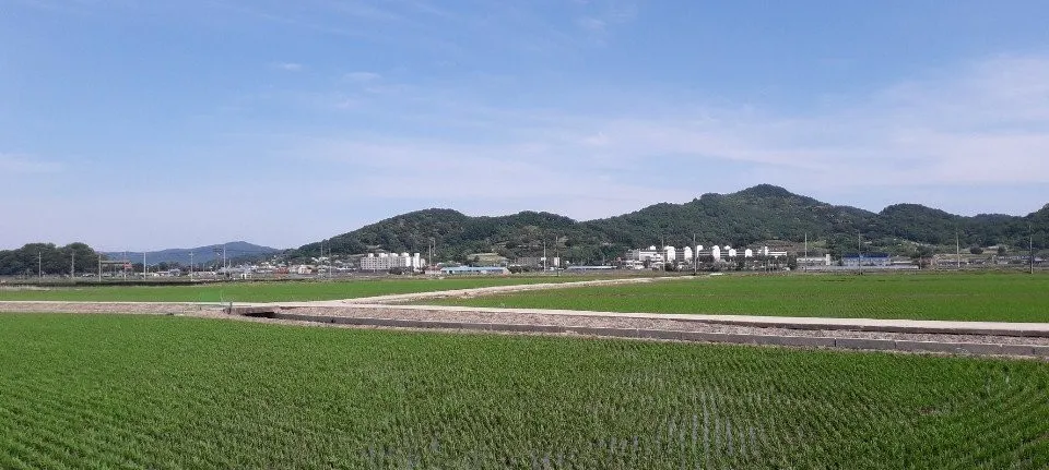 모임 이미지 1