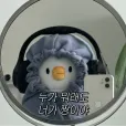 member face