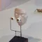 member face