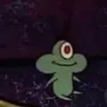 member face