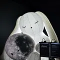 member face