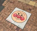 member face