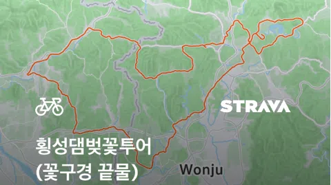 정모 대표 이미지