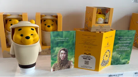 정모 대표 이미지