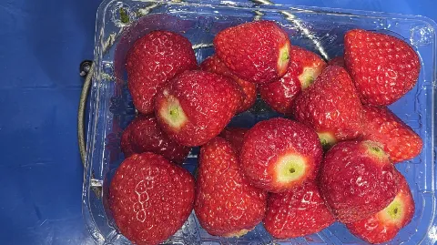 정모 대표 이미지