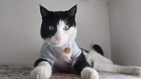 정모 대표 이미지