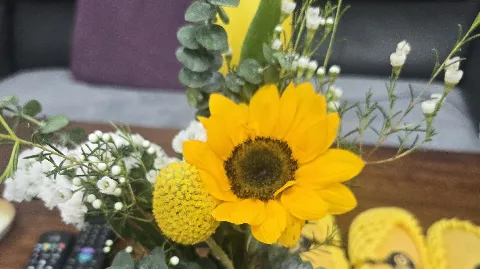 정모 대표 이미지