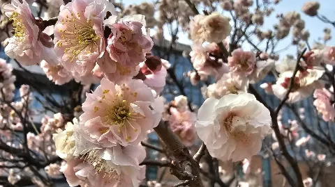 정모 대표 이미지