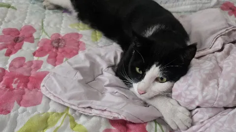 정모 대표 이미지