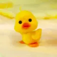 member face