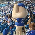 member face