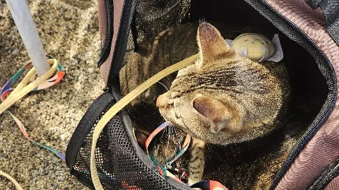 정모 대표 이미지