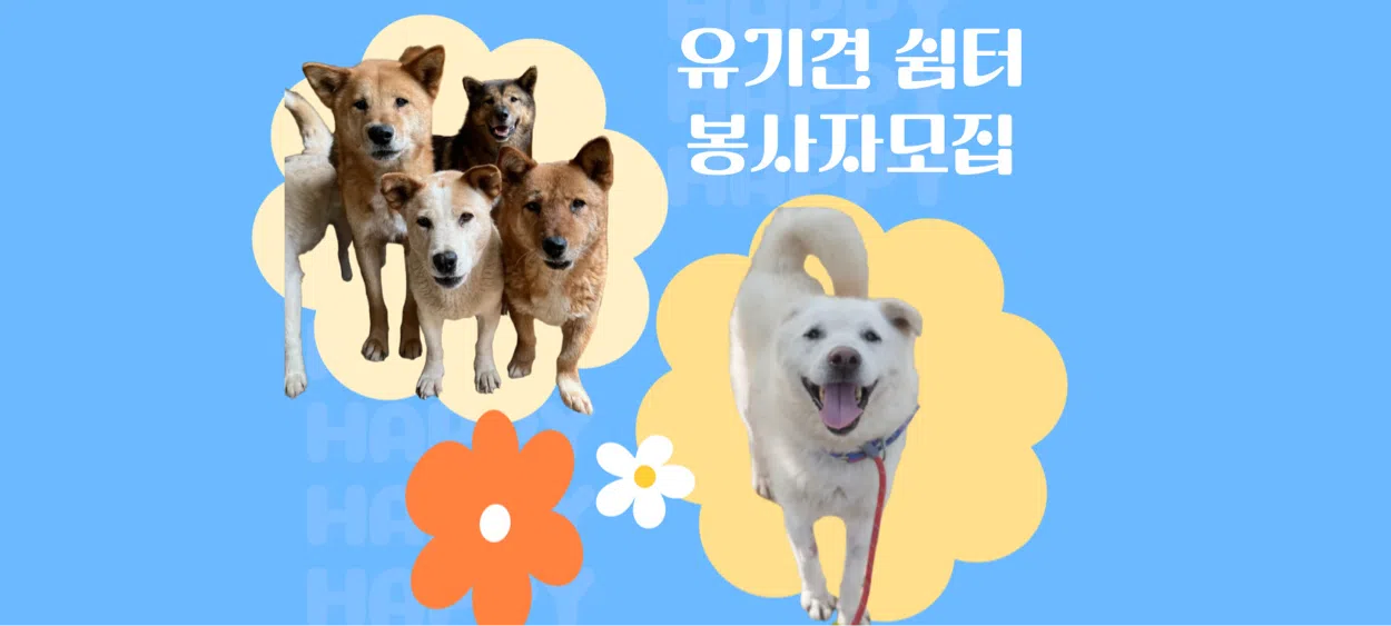 모임 이미지 1