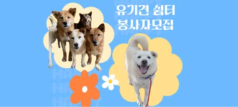 모임 대표 이미지