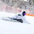 member face