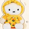 member face