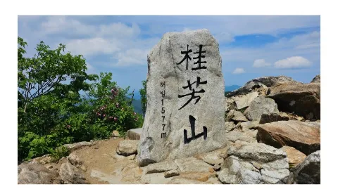 정모 대표 이미지