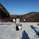 member face