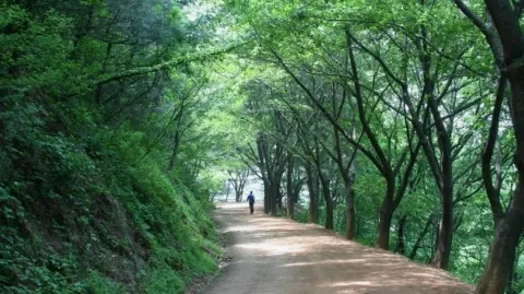 정모 대표 이미지