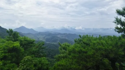 정모 대표 이미지