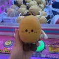 member face