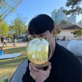 member face