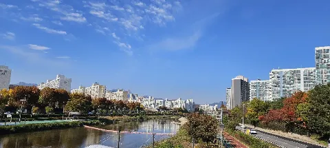 모임 대표 이미지