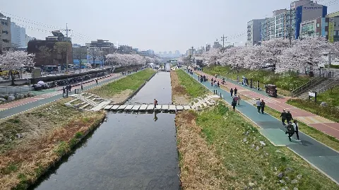 정모 대표 이미지