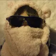member face