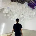member face