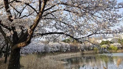 정모 대표 이미지