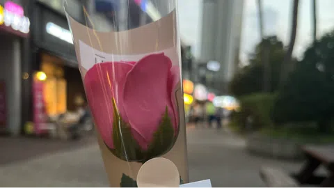 정모 대표 이미지